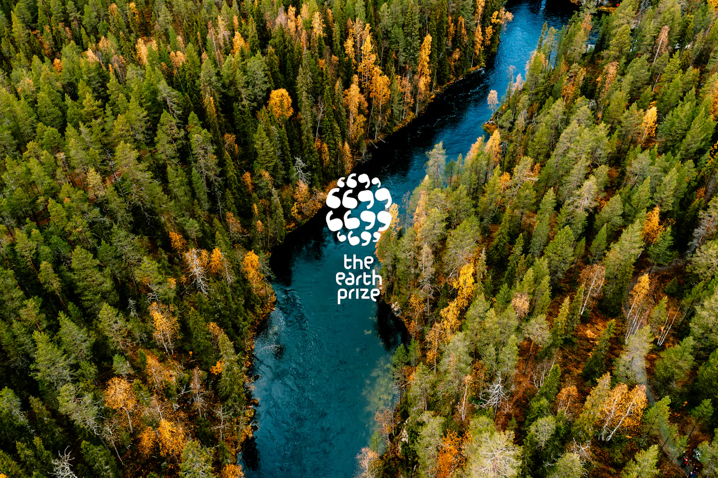 Easing youth eco-anxiety: Meet the winners of The Earth Prize 2024